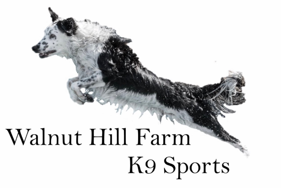 Walnut Hill Farm K-9 Sports Tie Dye short sleeve shirt