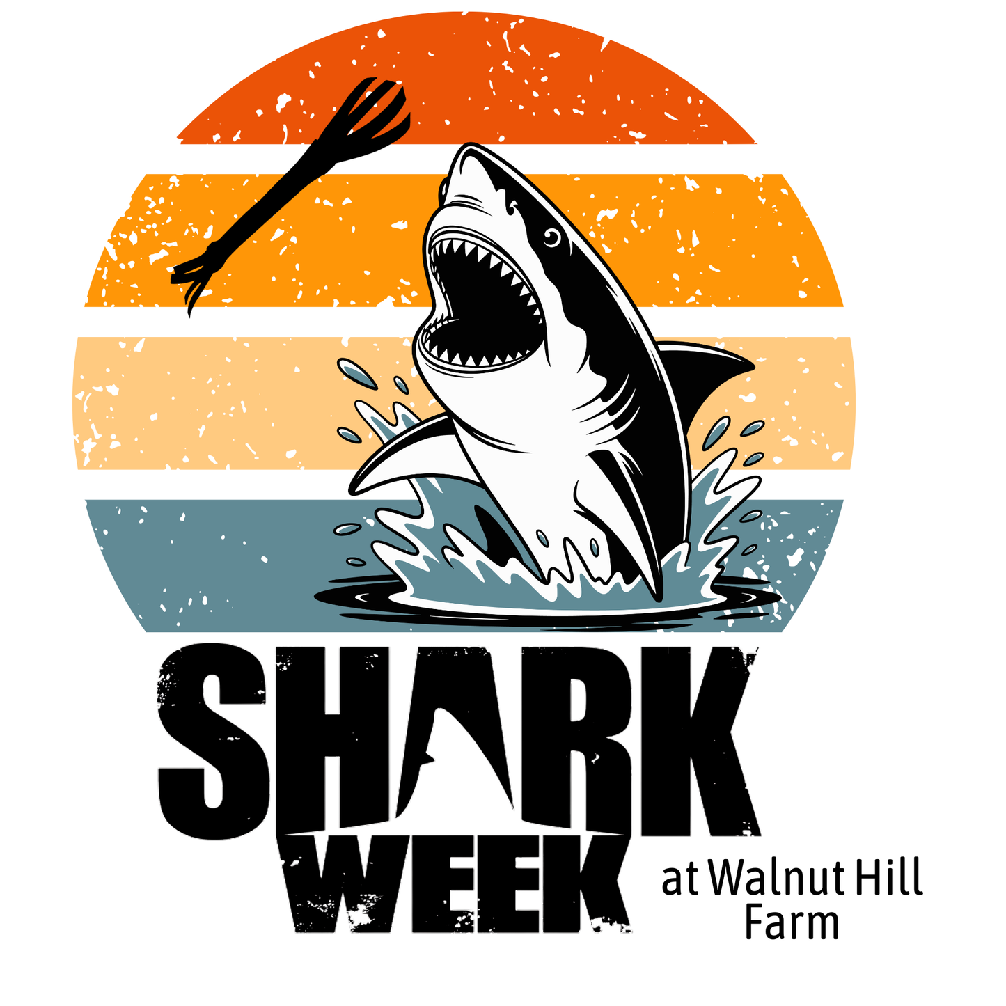 Shark Week graphic T-Shirt - Orange Retro Sunset Shark Bite