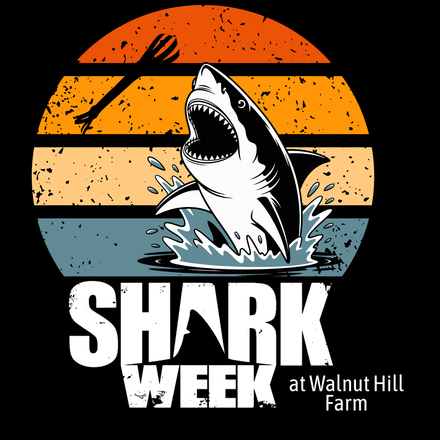 Shark Week graphic T-Shirt - Orange Retro Sunset Shark Bite