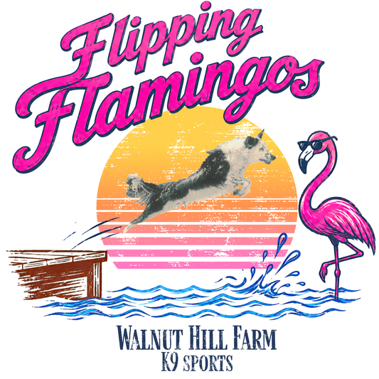 Event: Flipping Flamingos Graphic Tank Top