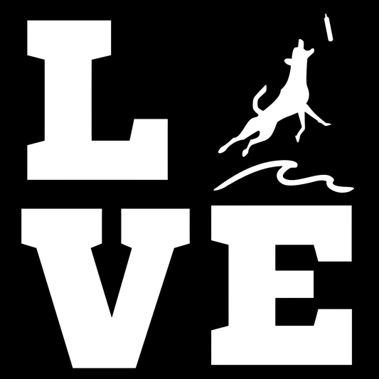 LOVE Dock Diving Graphic T-Shirt