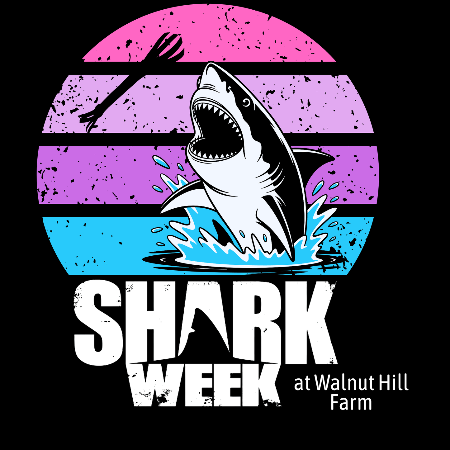 Shark Week graphic T-Shirt - Purple Retro Sunset Shark Bite