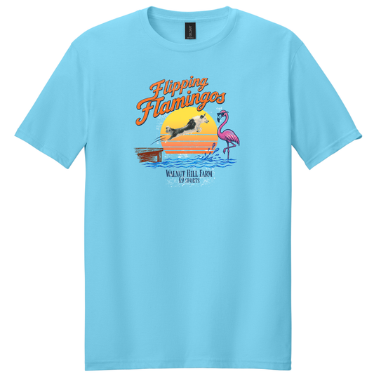 Event: Flipping Flamingos Graphic T-Shirt - Orange
